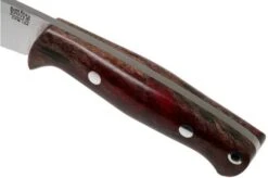 Bark River North Country EDC CPM 154, Red & Black Maple Burl Fixed Knife -Knife Sales Store BRK02 054RBMB 05 bark river knives