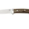 Bark River Classic Drop Point Hunter CPM S45VN Smoke Prickly Pear Natural Liner, Fixed Knife -Knife Sales Store BRK02 176SPPNL 01 barkriver