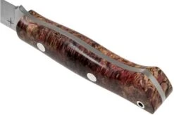 Bark River Aurora CPM 3V, Purple Gold Elder Burl Bushcraft Knife -Knife Sales Store BRK06 122PGEB 04 bark river knives